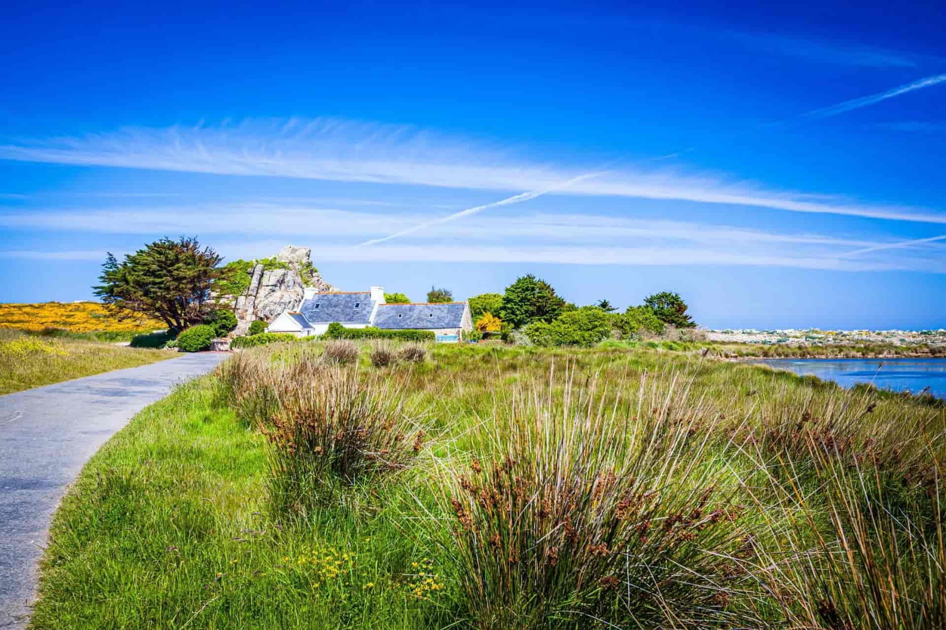 Coastal path next to marsh grass, white houses, and a large rock under a bright blue sky.