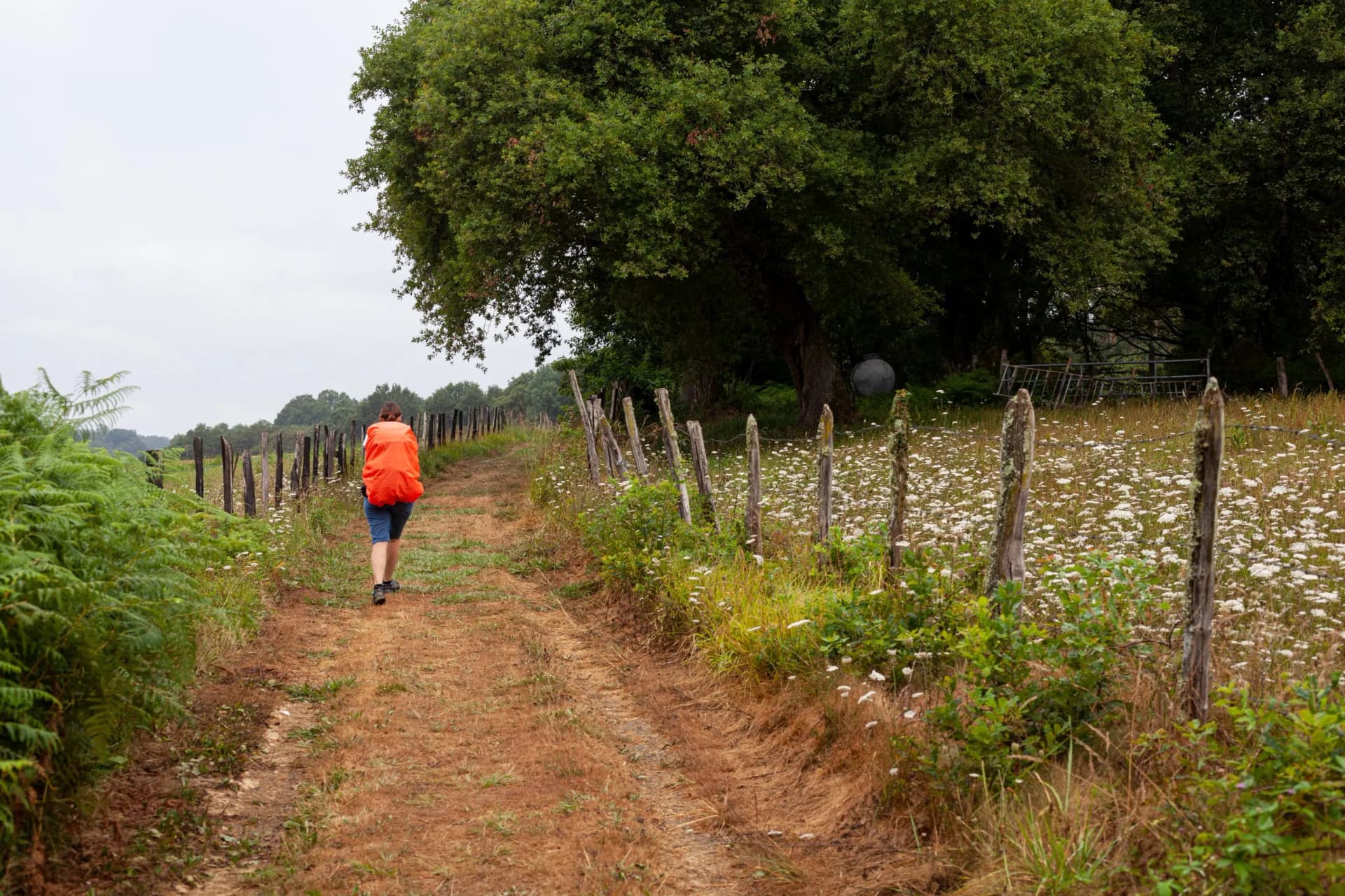 Pilgrim walking on the countryside road at Early morning during the Chemin du Puy,