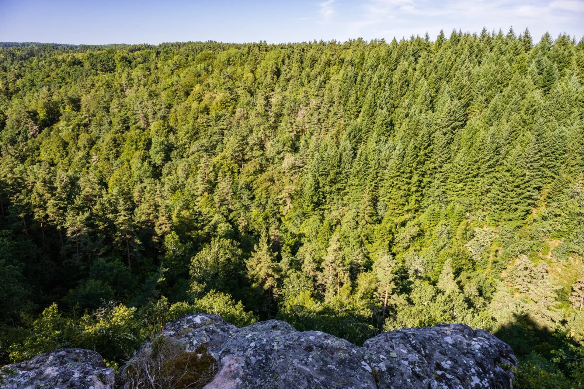 Les Gorges de la Truyère, Saint-Pierre-le-Vieux, Le Malzieu-Ville, Lozère, Mende, Languedoc Roussillon, Occitanie, France