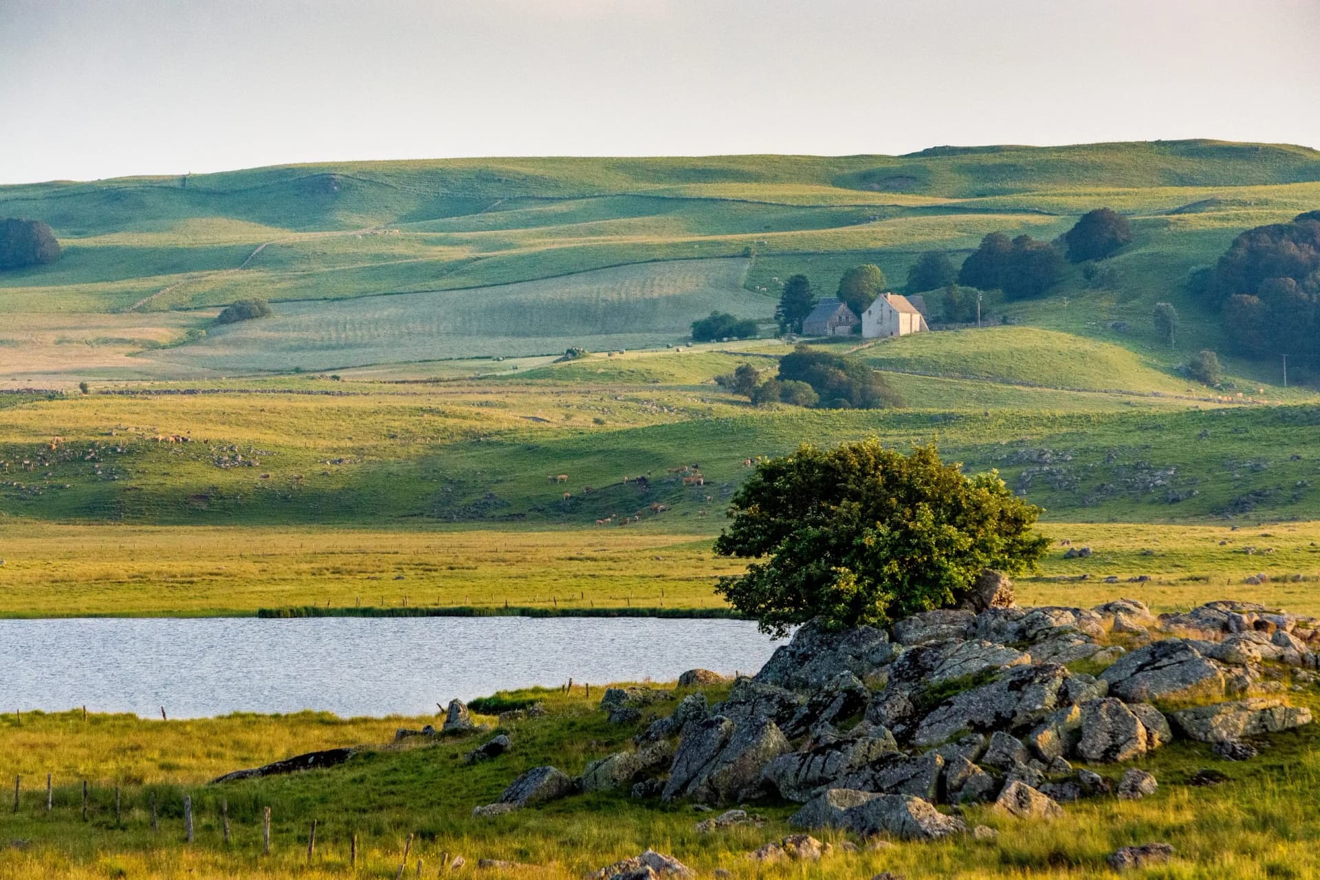 Rolling green hills of the Aubrac Plateau, France, with a lake and farm buildings.