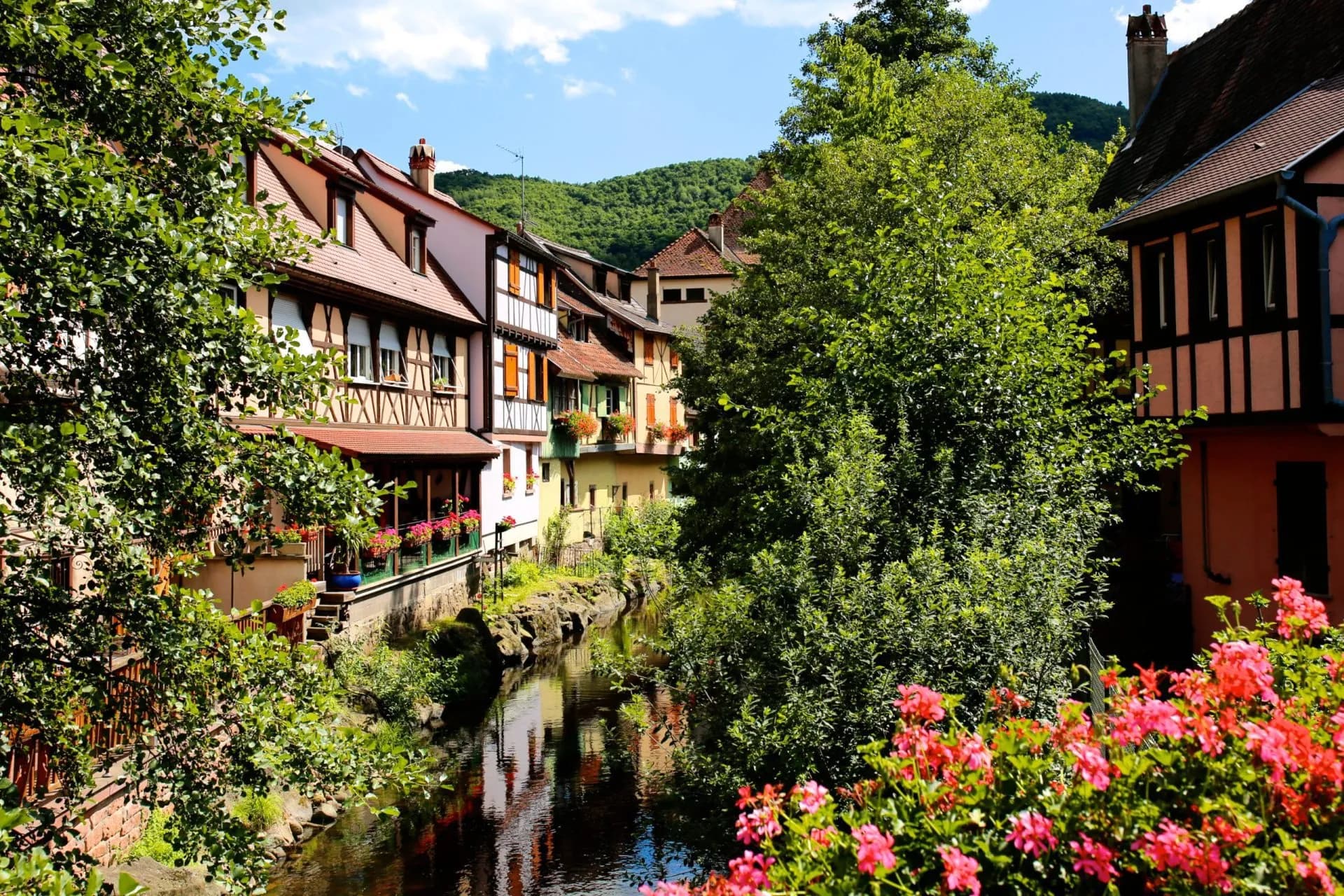 Traditional Alsatian houses line a small river with lush greenery and pink flowers under a blue sky.