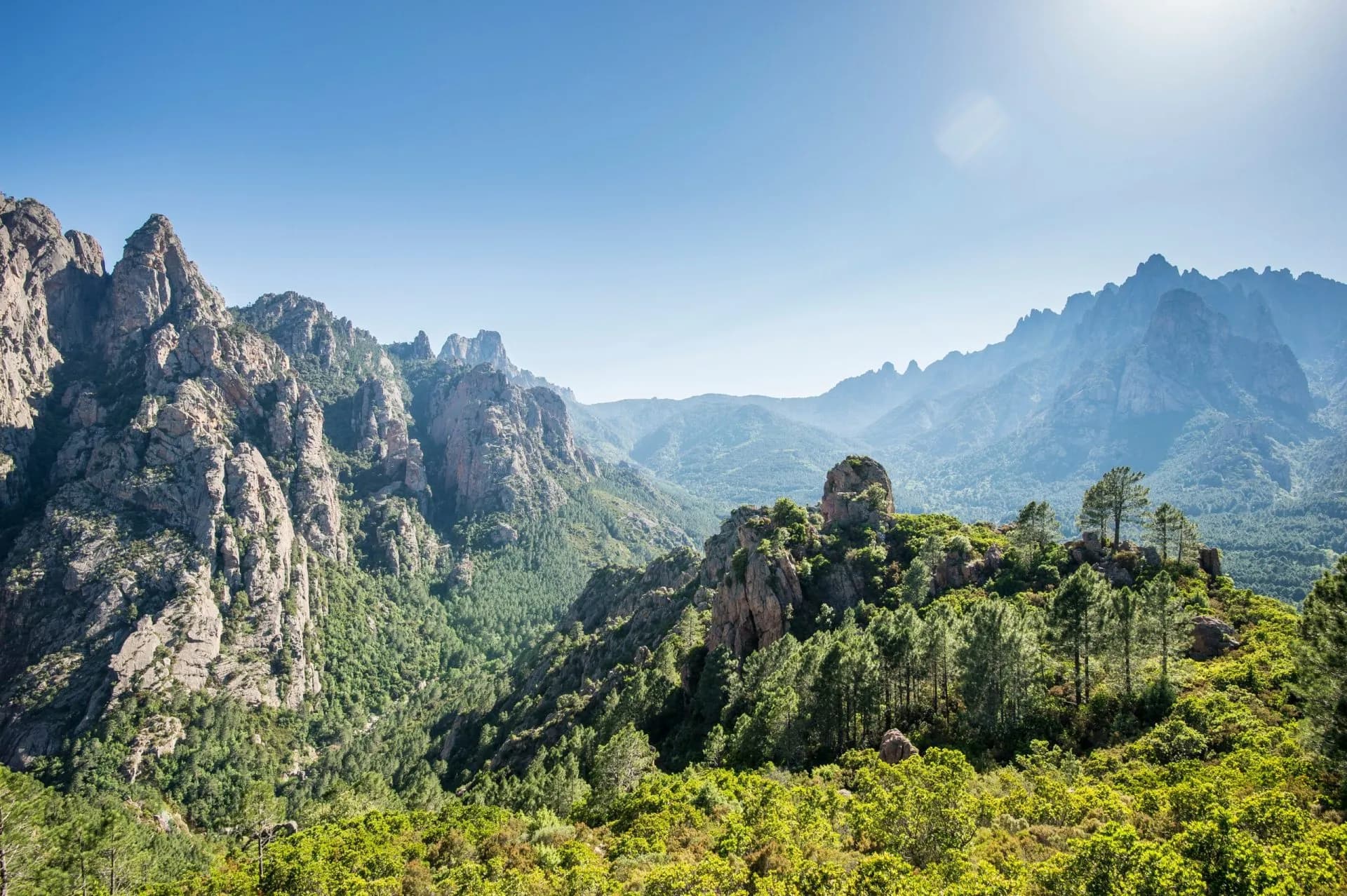 Rugged granite mountains and lush green forest under a bright blue sky in Corsica.