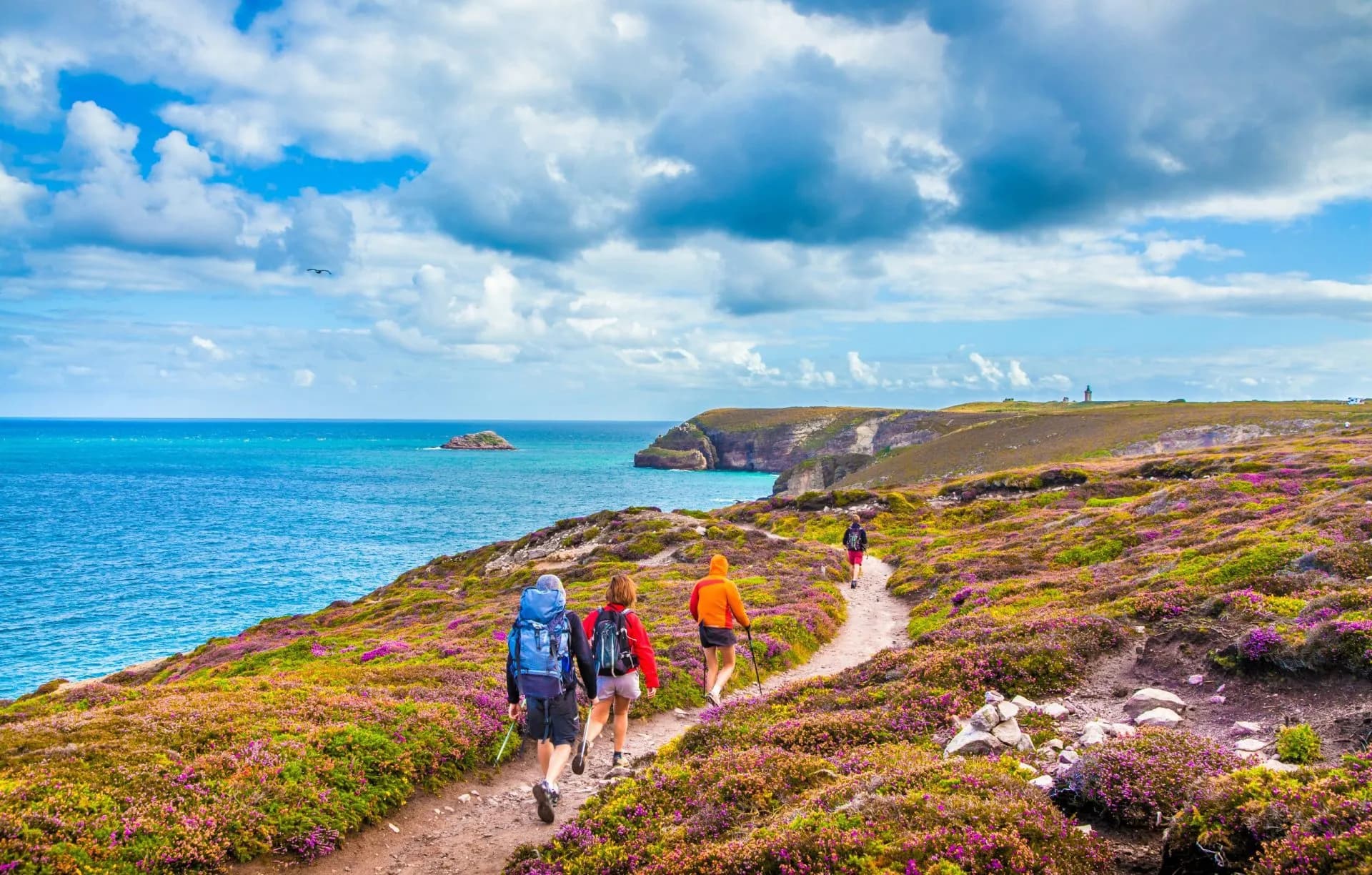 Hikers on coastal path with purple heather, overlooking turquoise sea and cliffs in France