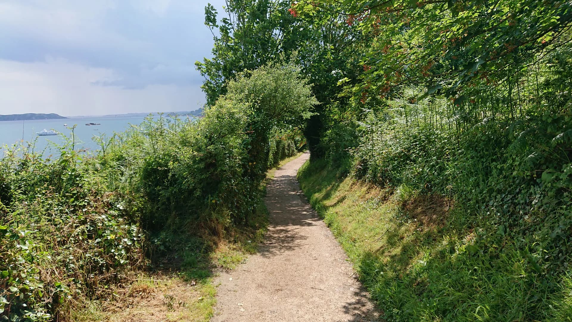 Dirt path winding through lush greenery along a coastal cliff with a view of the sea and a distant boat.