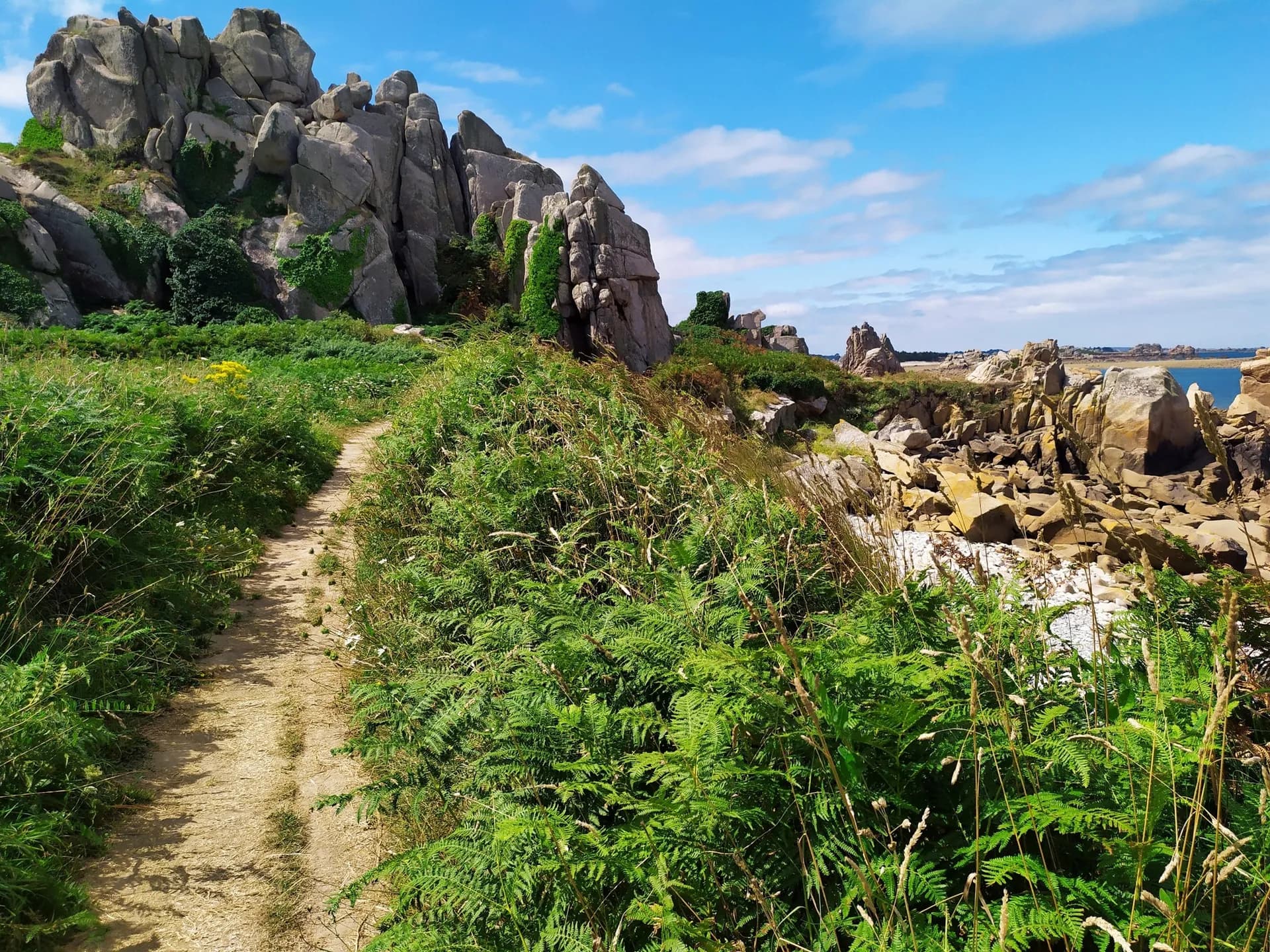 Coastal hiking trail through rocky terrain with ferns and ocean views in Brittany, France.