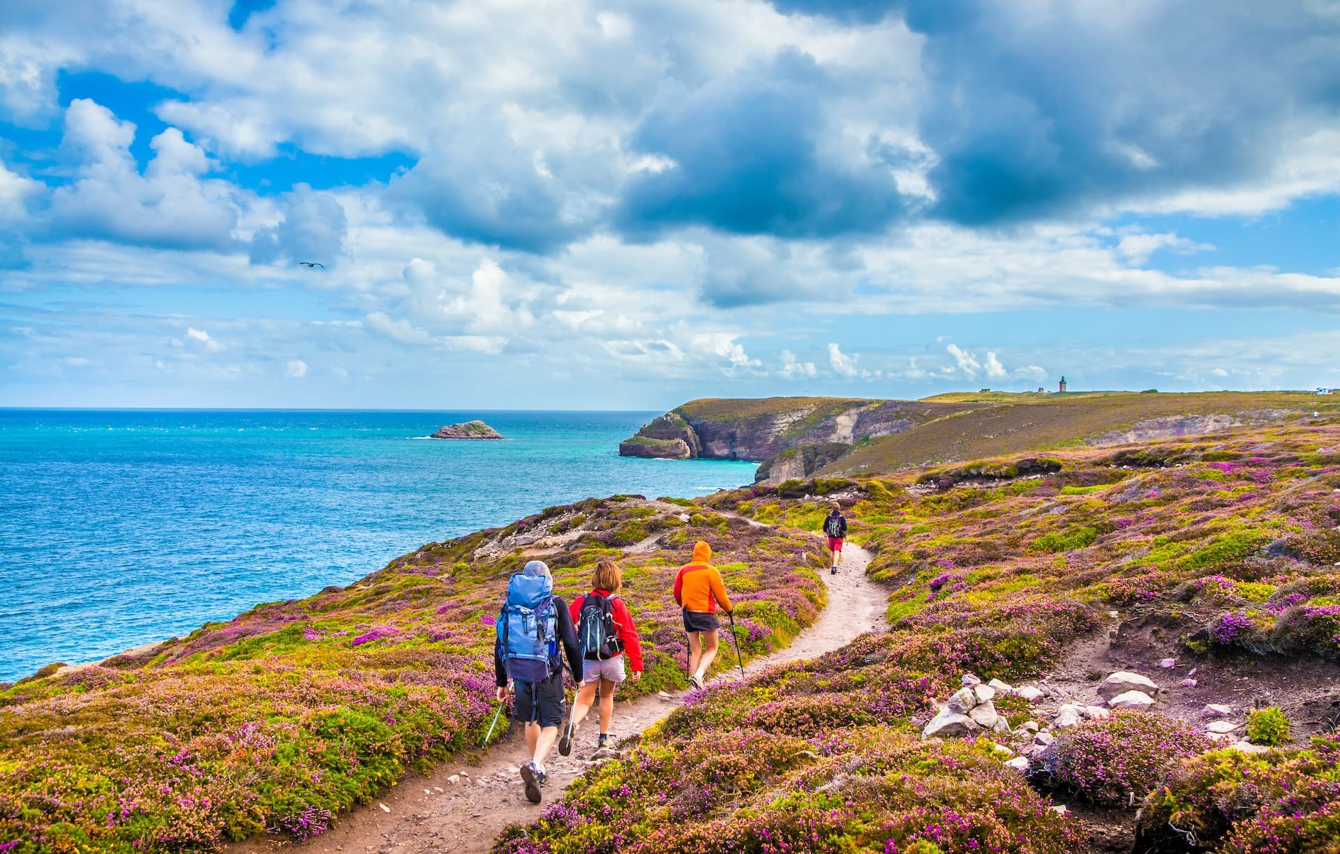 Tourists hiking on coastal path with purple heather near Cap Fréhel, Bretagne, France