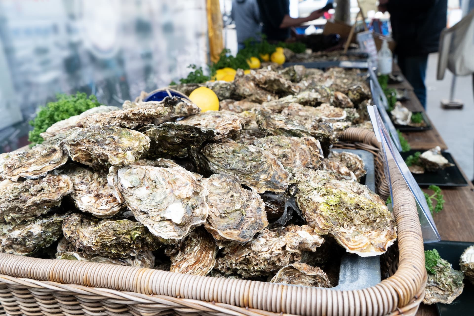 Fresh oysters piled high in a wicker basket at a farmer market stall with lemons.