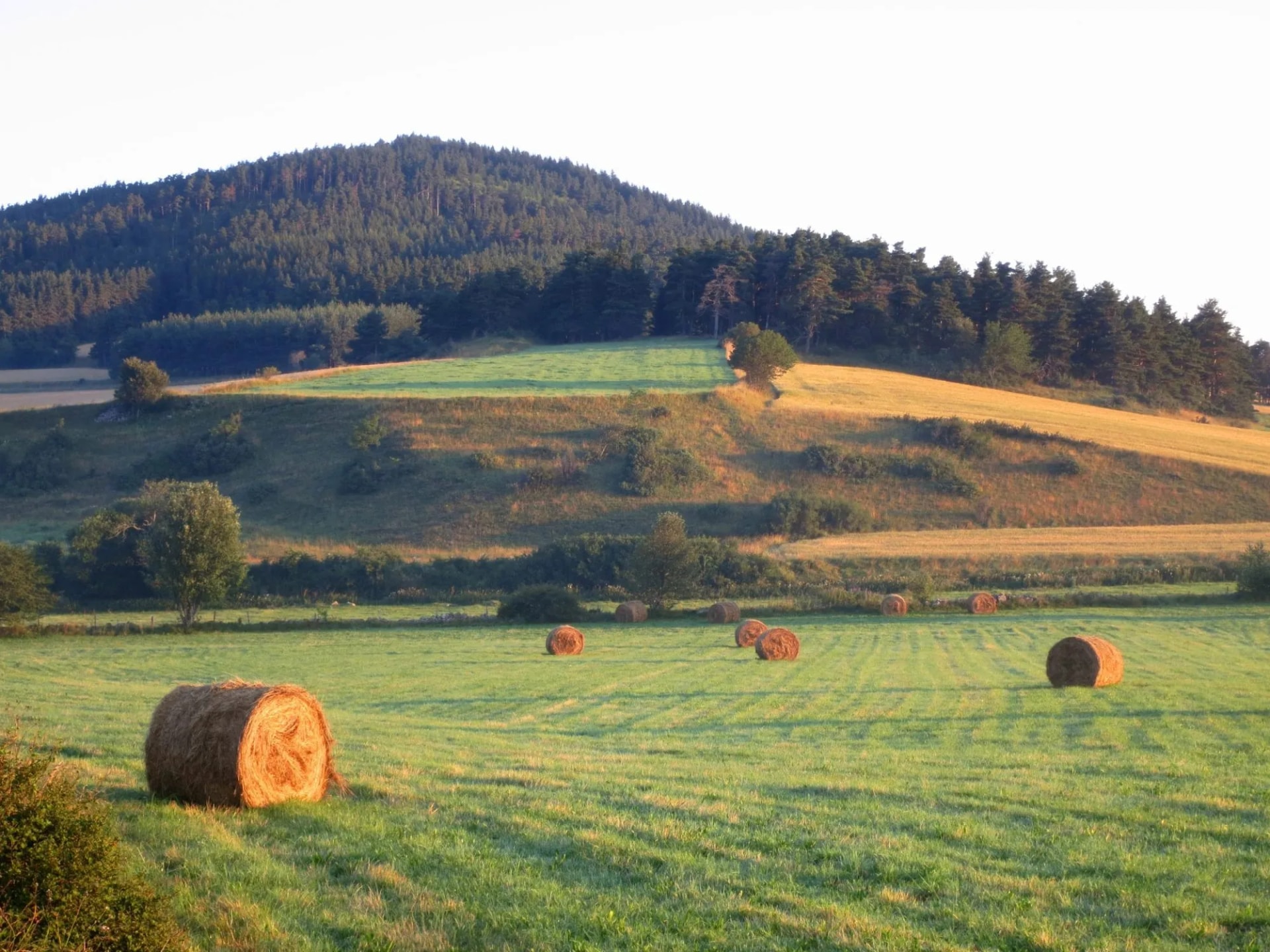 Hay bales in grassy fields with rolling hills and dense forest under a bright sky along Via Podiensis.