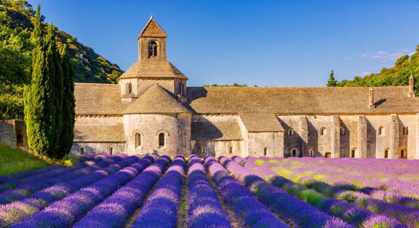 Walking Holidays in Provence