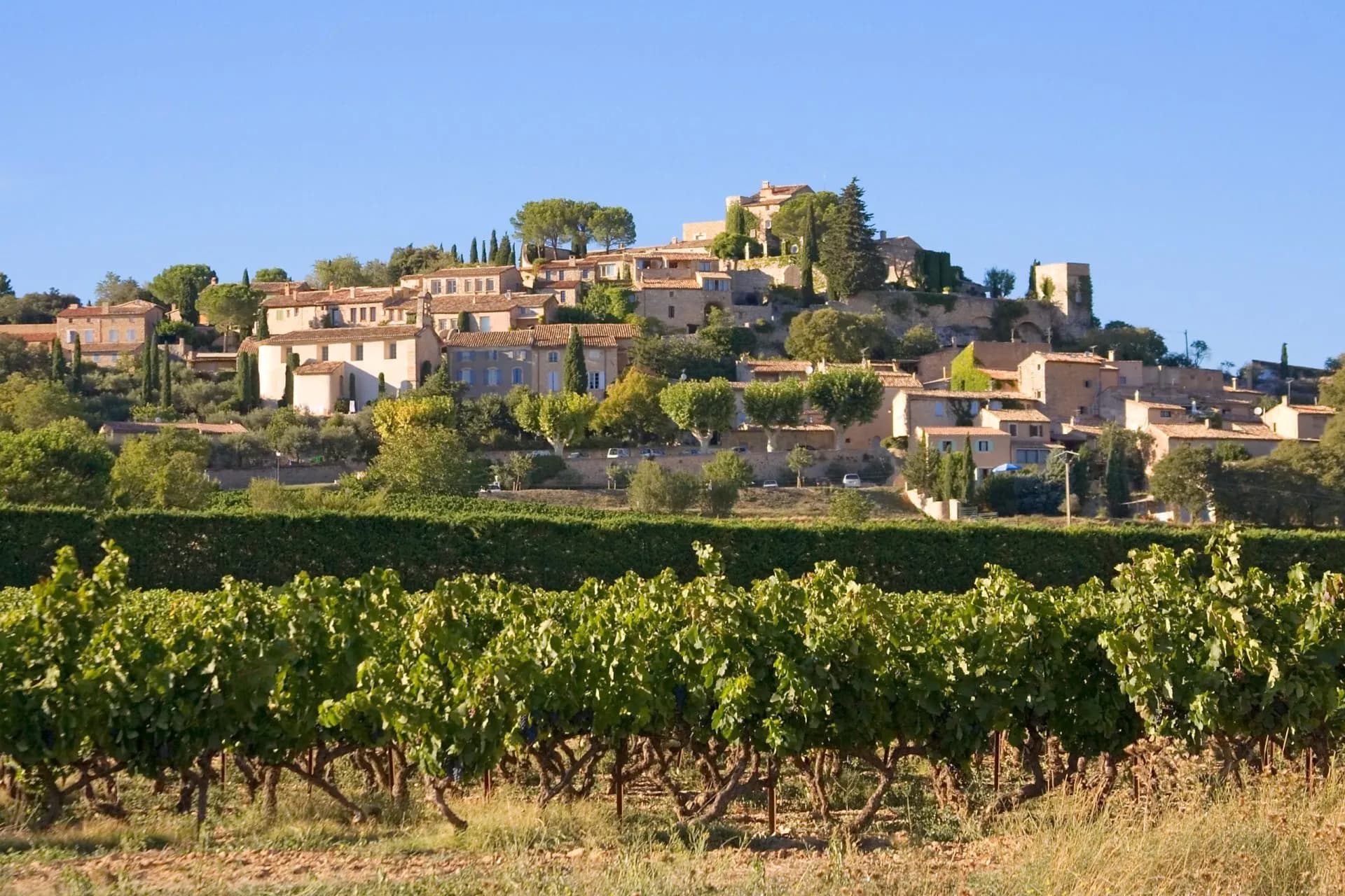 Vineyard in foreground with hilltop village and terracotta roofs under clear blue sky