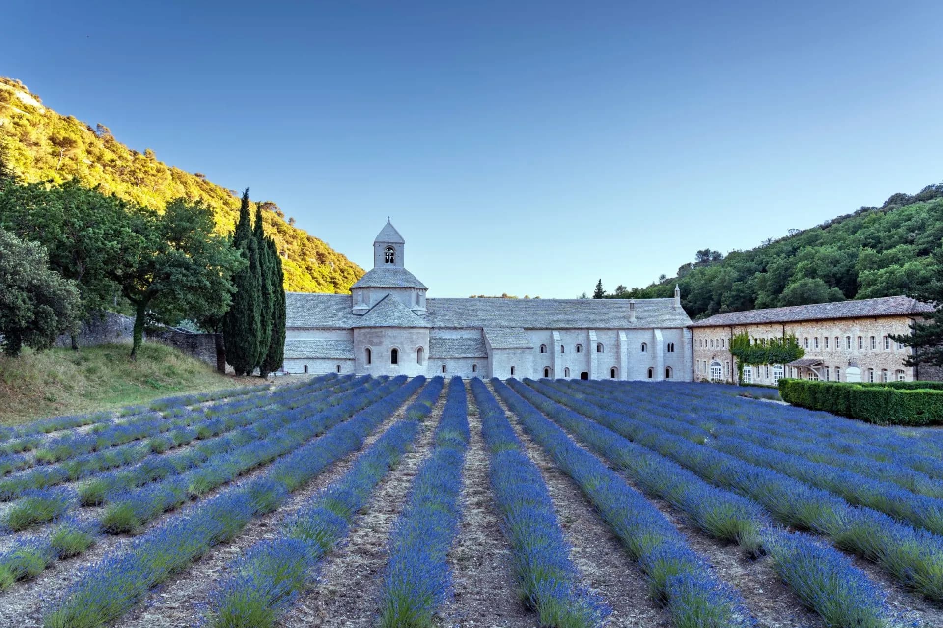Lavender field in bloom before the Abbey de Sénanque monastery building with surrounding hills.