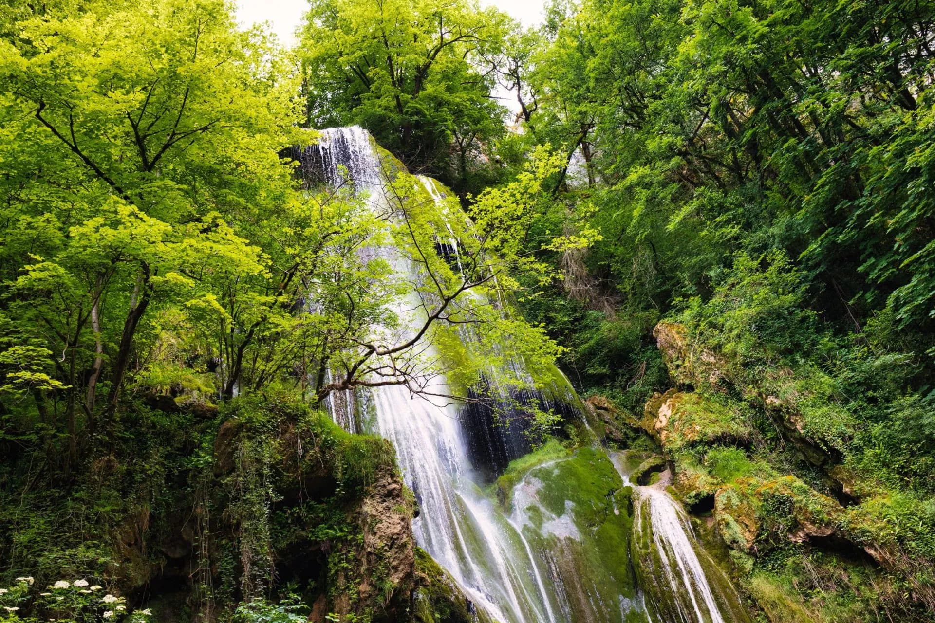 Waterfall cascading down moss-covered rocks surrounded by lush green forest foliage