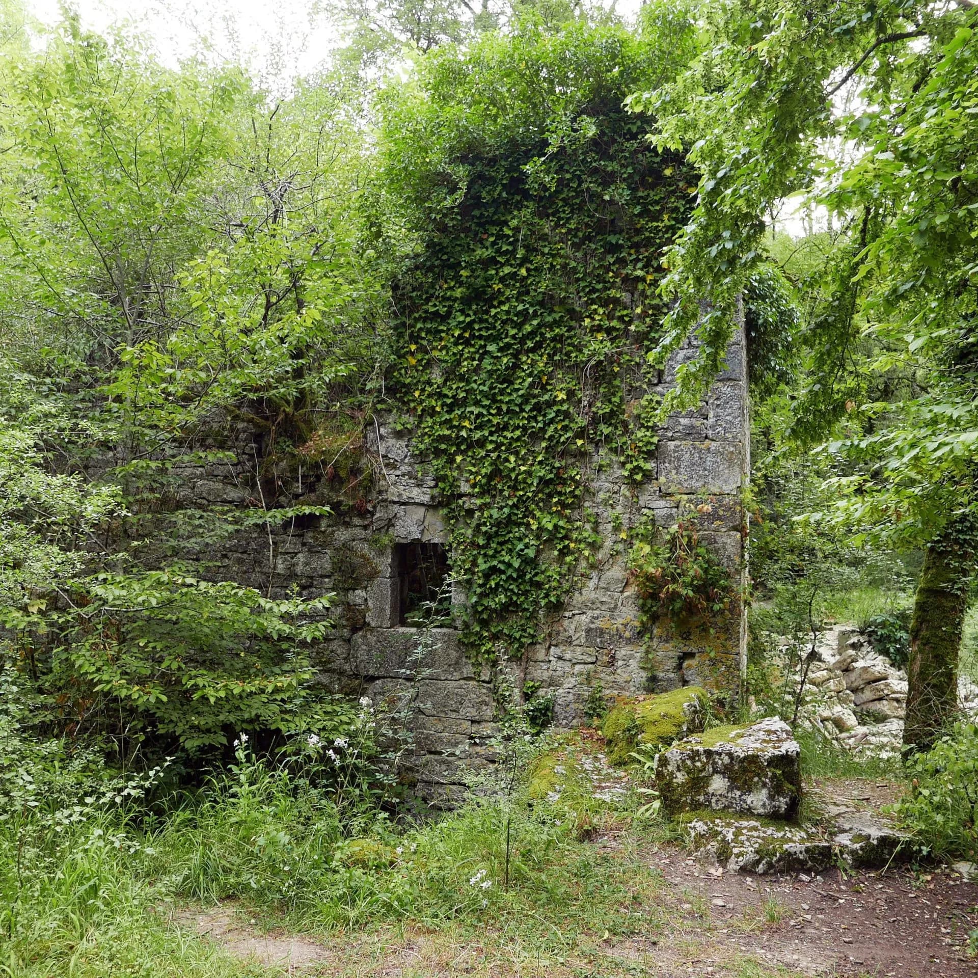 Ruinous stone structure covered in ivy and surrounded by dense green foliage near Moulin de Sirogne.