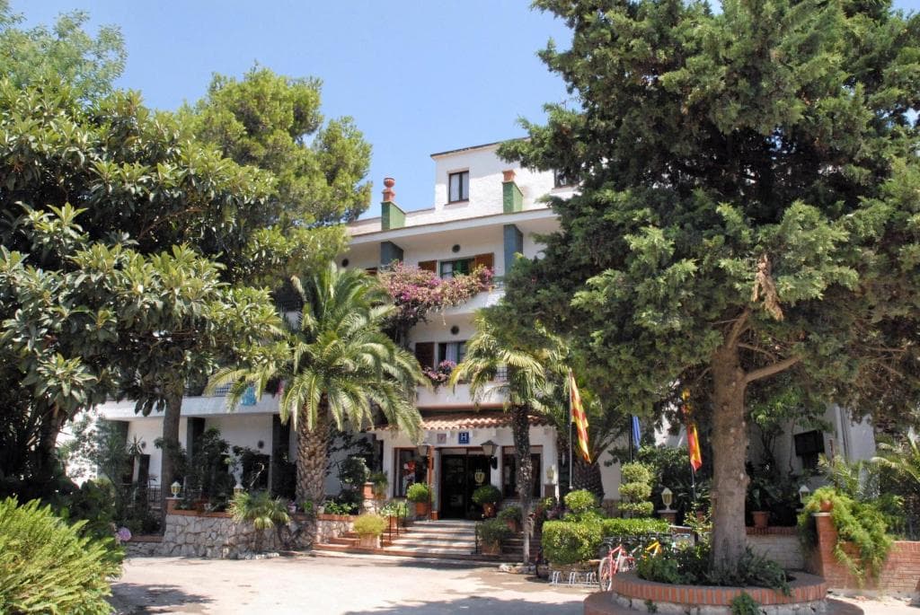 White hotel building entrance surrounded by lush palm trees and dense green foliage