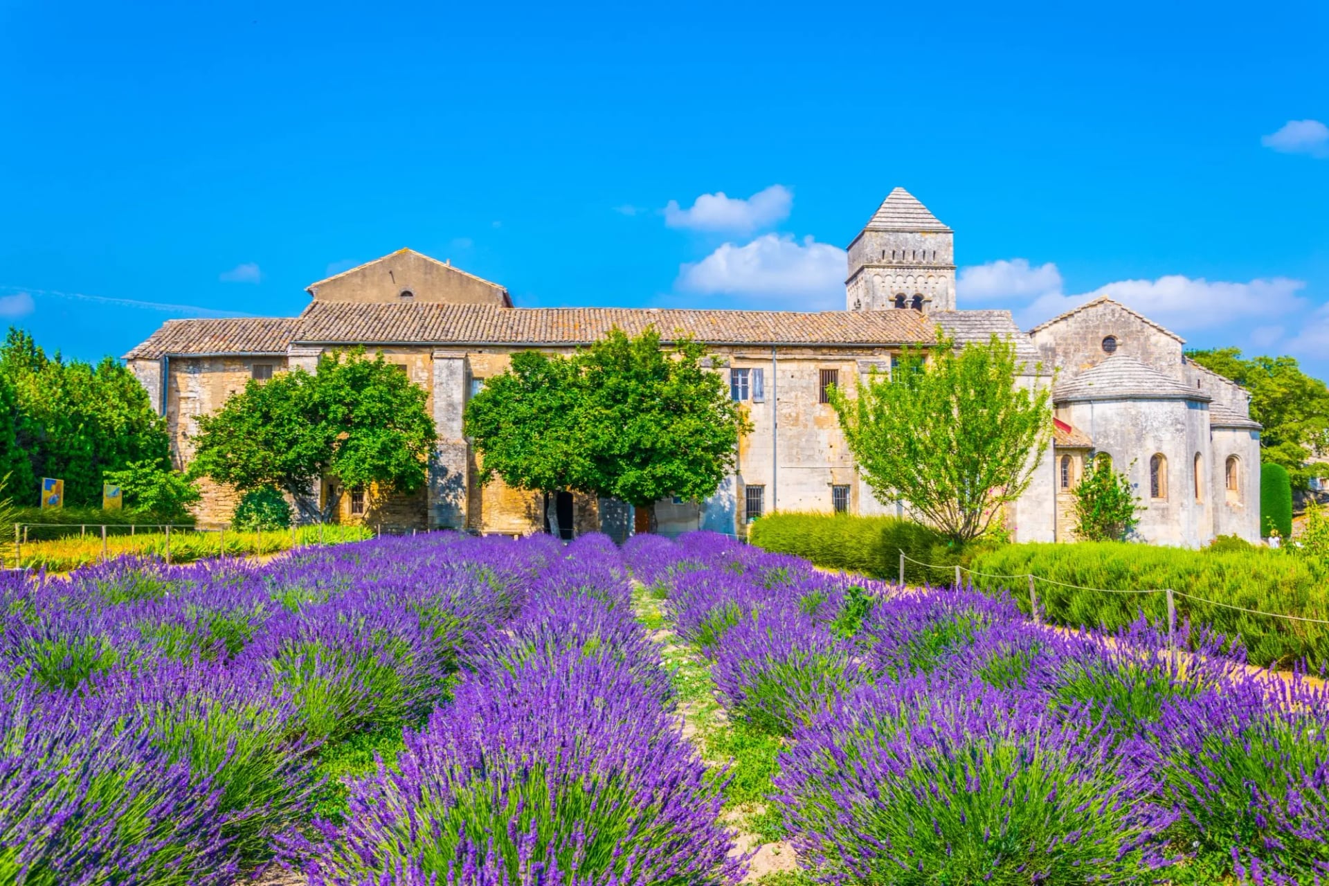 Saint-Paul-de-Mausole asylum van gogh