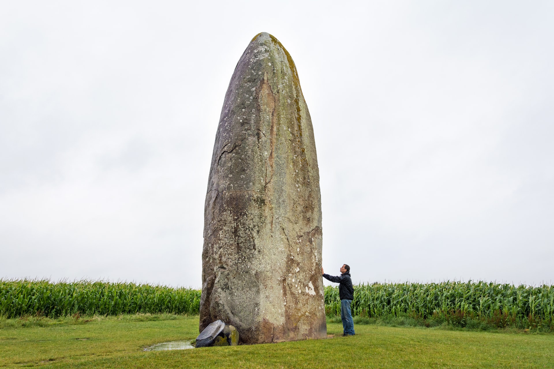Tall menhir isolated in a field next to a corn crop, Dol-de-Bretagne, Brittany, France.
