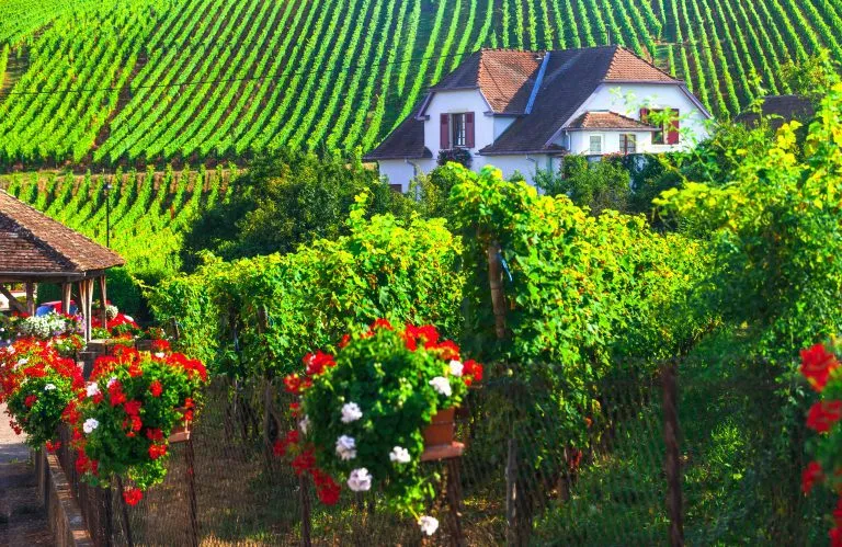 Alsace region of France - famous 