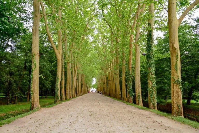 walking to chenonceau